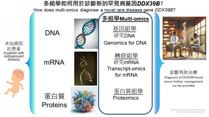 The research utilises multi-omics which can cover a wide range of human diseases in a single analysis to reveal the potential genetic factors causing the disease, aiding the development of novel screening, diagnostic, preventive and therapeutic strategies.

 